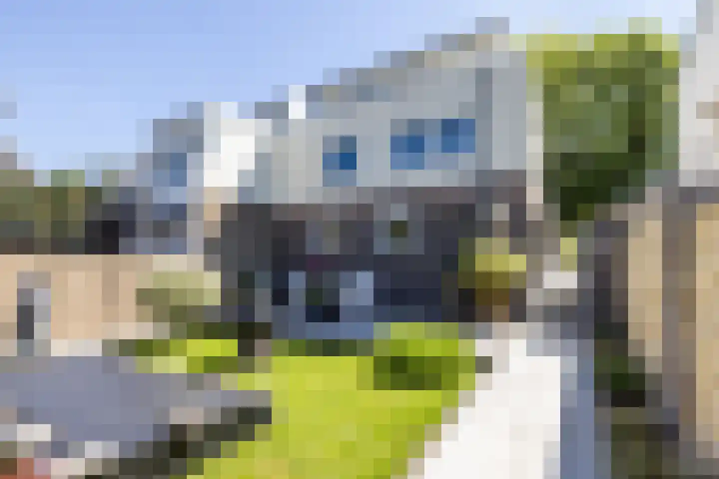 Kloosterweg 21 Valkenburg thumbnail 18