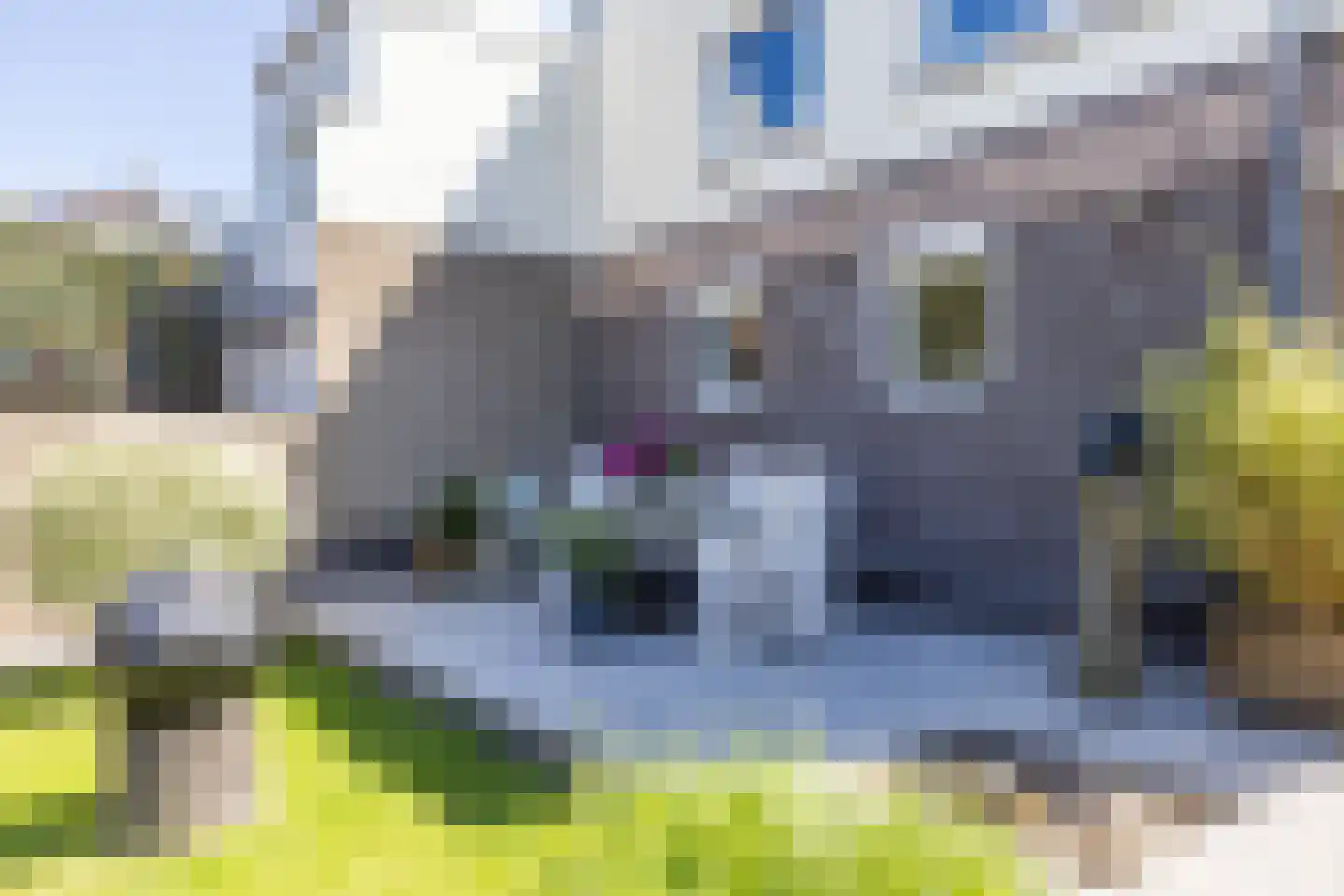 Kloosterweg 21 Valkenburg thumbnail 19