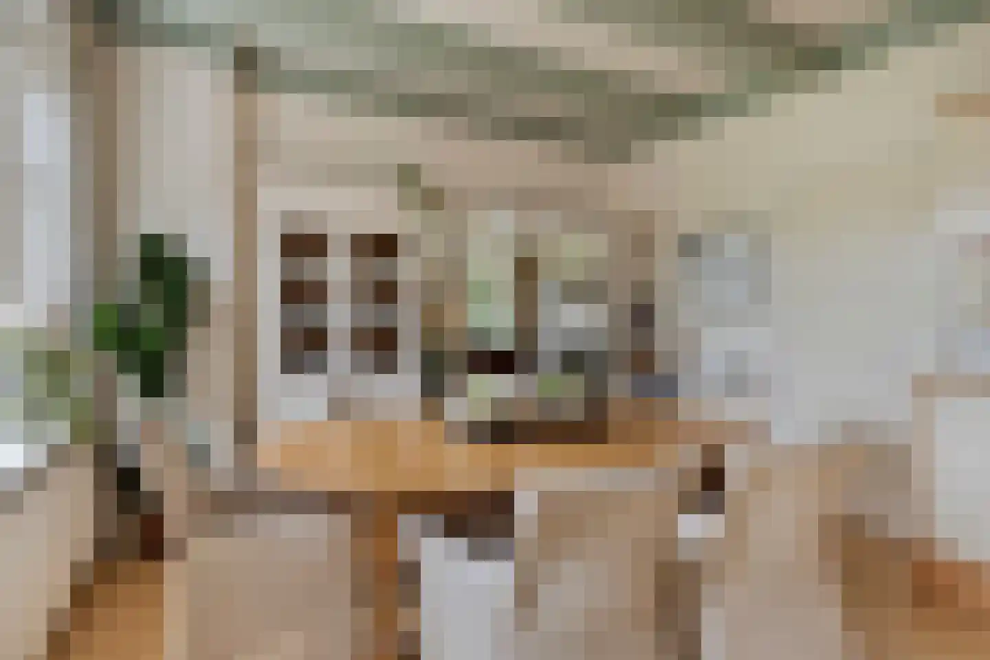 Kloosterweg 25 Noordgouwe thumbnail 15