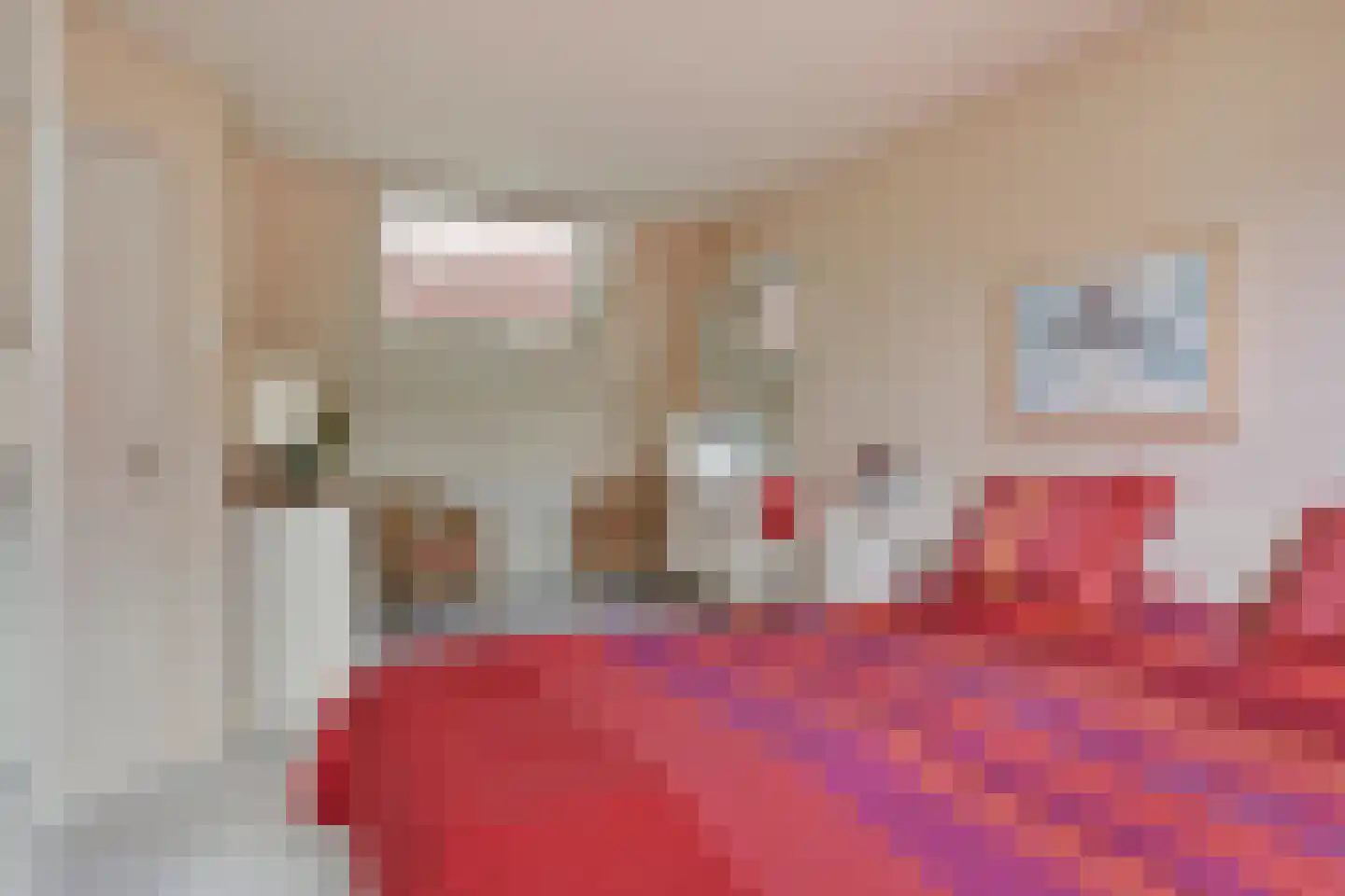 Kloosterweg 25 Noordgouwe thumbnail 32