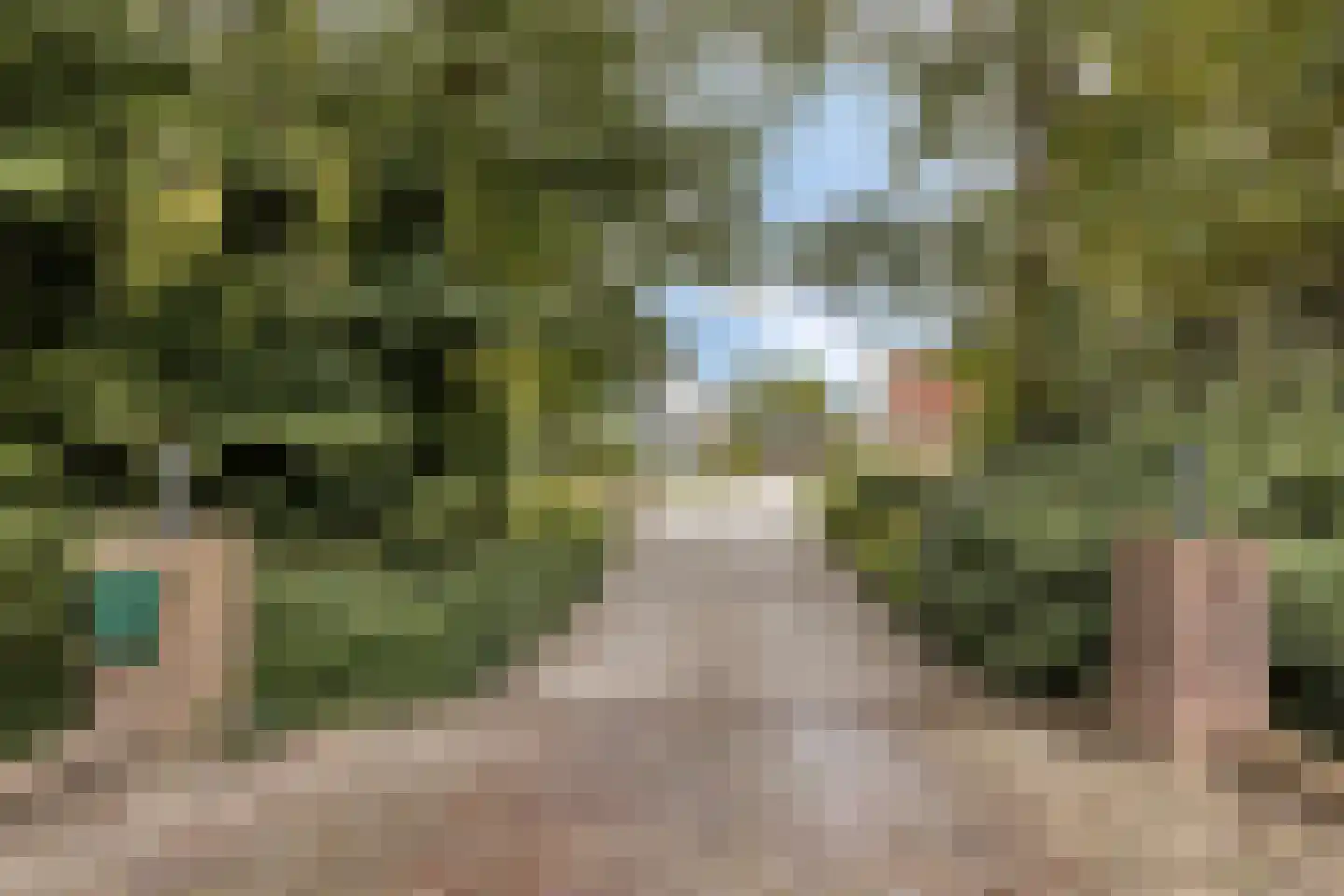 Kloosterweg 25 Noordgouwe thumbnail 39