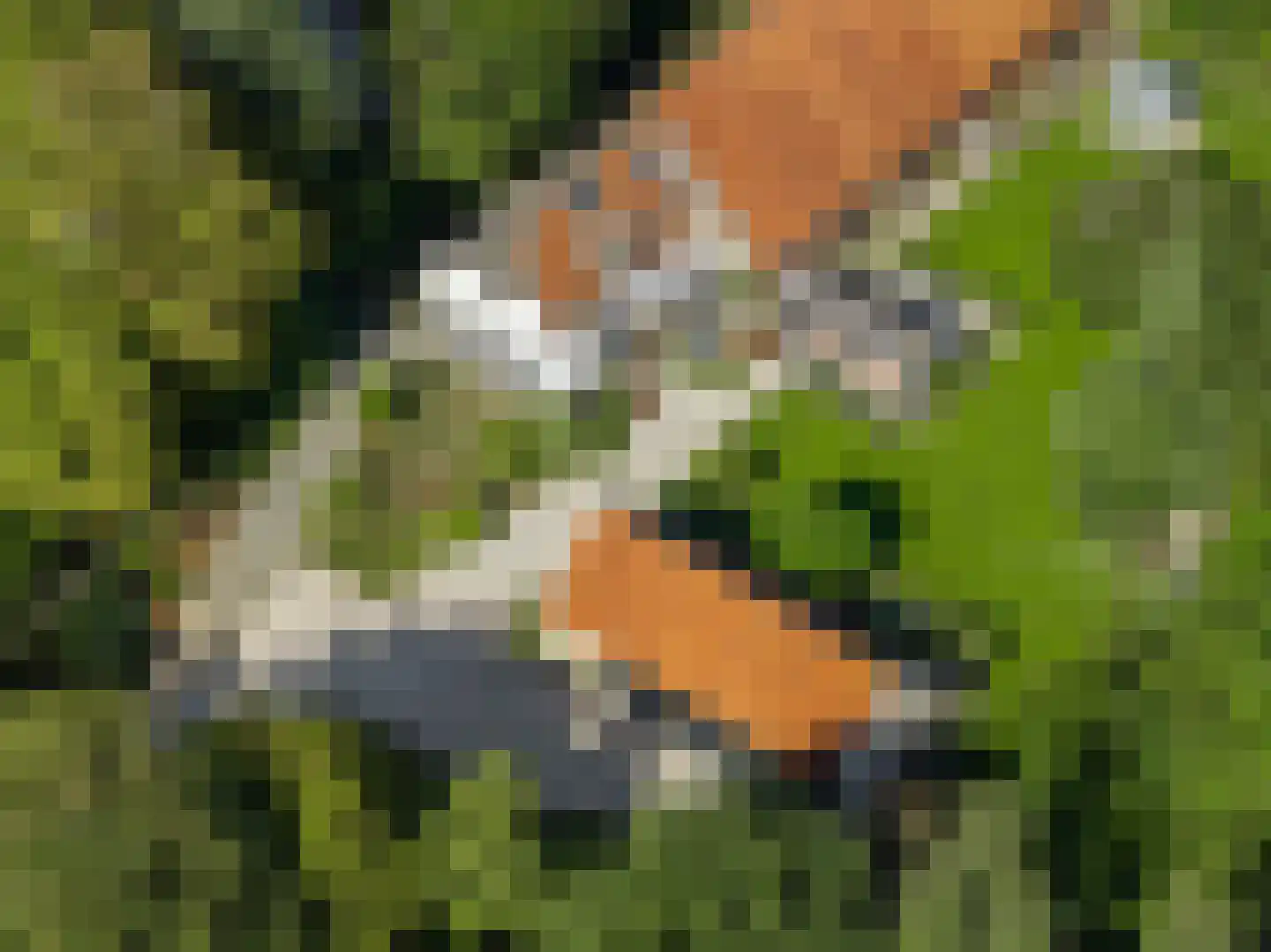 Kloosterweg 25 Noordgouwe thumbnail 41