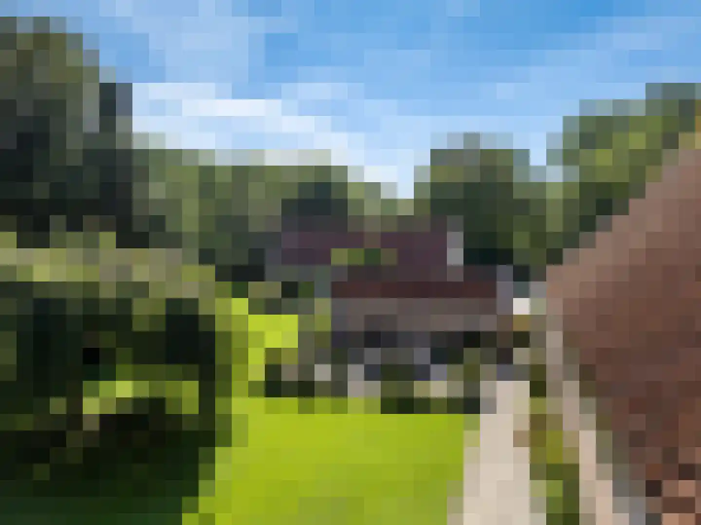 Kloosterweg 25 Noordgouwe thumbnail 44