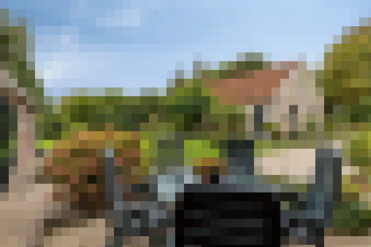 Kloosterweg 25 Noordgouwe thumbnail 54