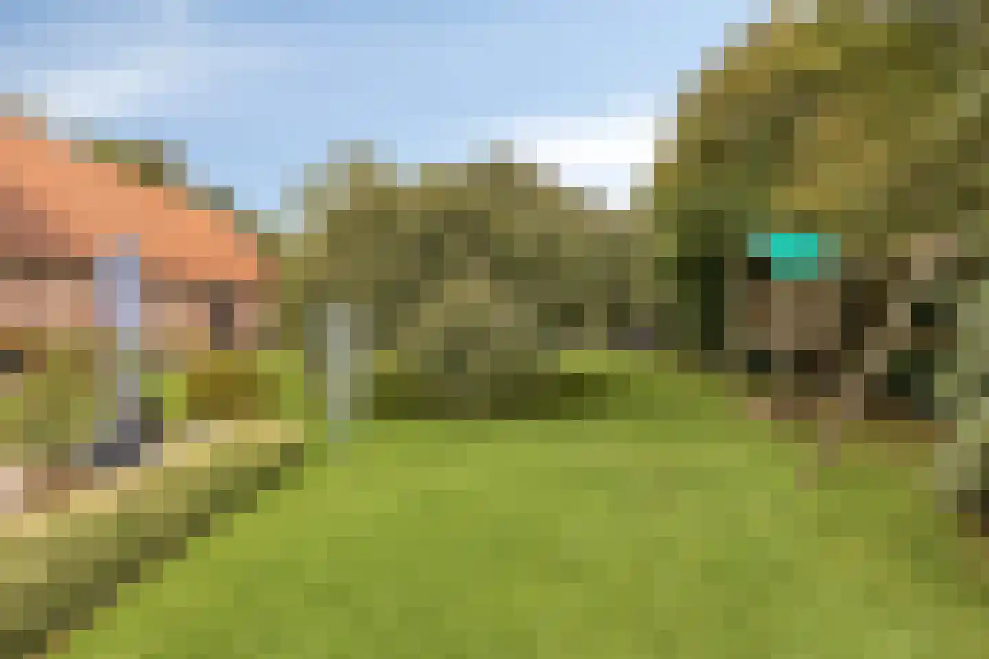 Kloosterweg 25 Noordgouwe thumbnail 57