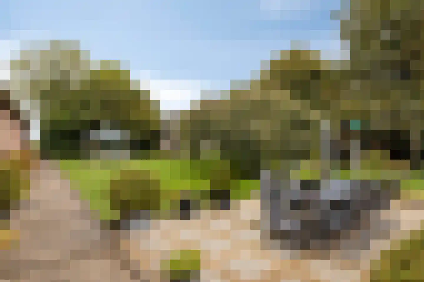 Kloosterweg 25 Noordgouwe thumbnail 58