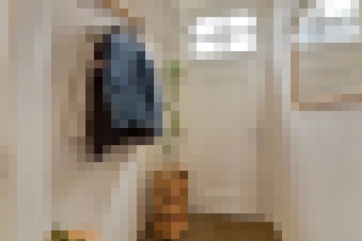Kloosterweg 25 Noordgouwe thumbnail 8