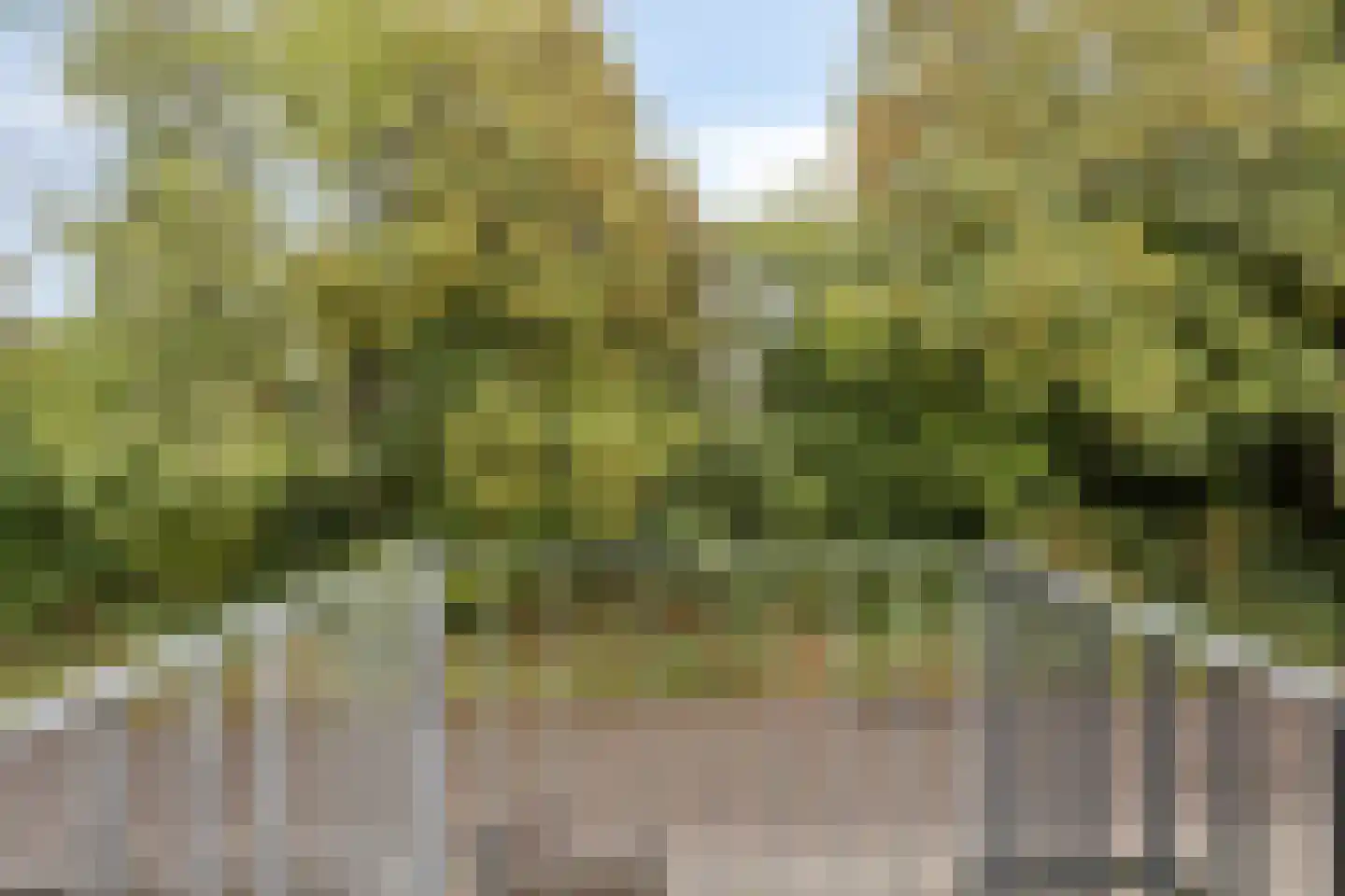 Kloosterweg 25 Valkenburg thumbnail 28