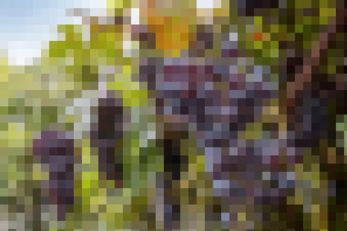 Kloosterweg 25 Valkenburg thumbnail 46