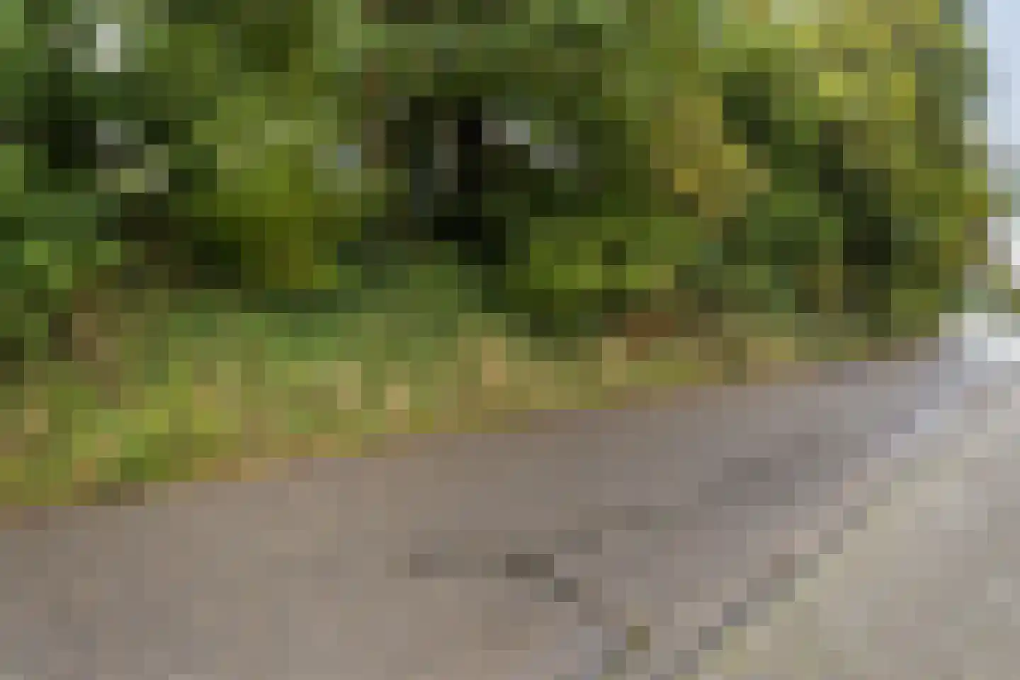 Kloosterweg 25 Valkenburg thumbnail 7