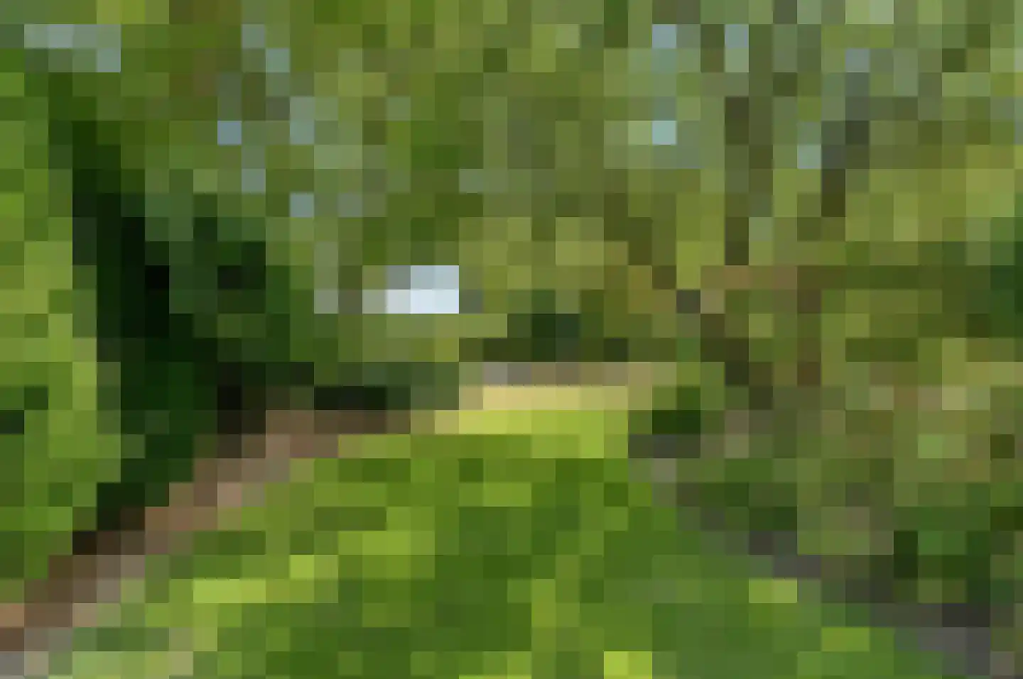 Kloosterweg 28 Horssen thumbnail 24