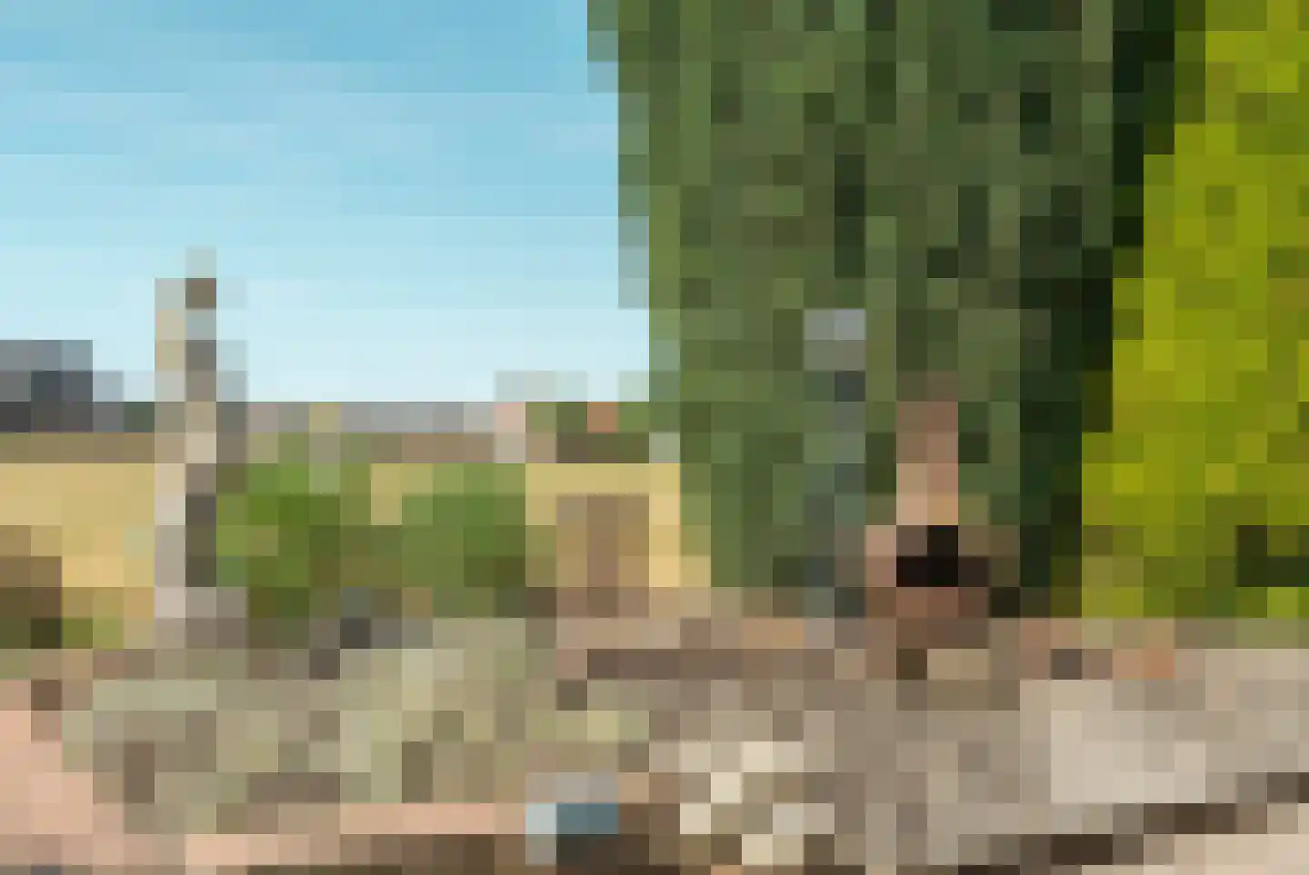 Kloosterweg 28 Horssen thumbnail 30