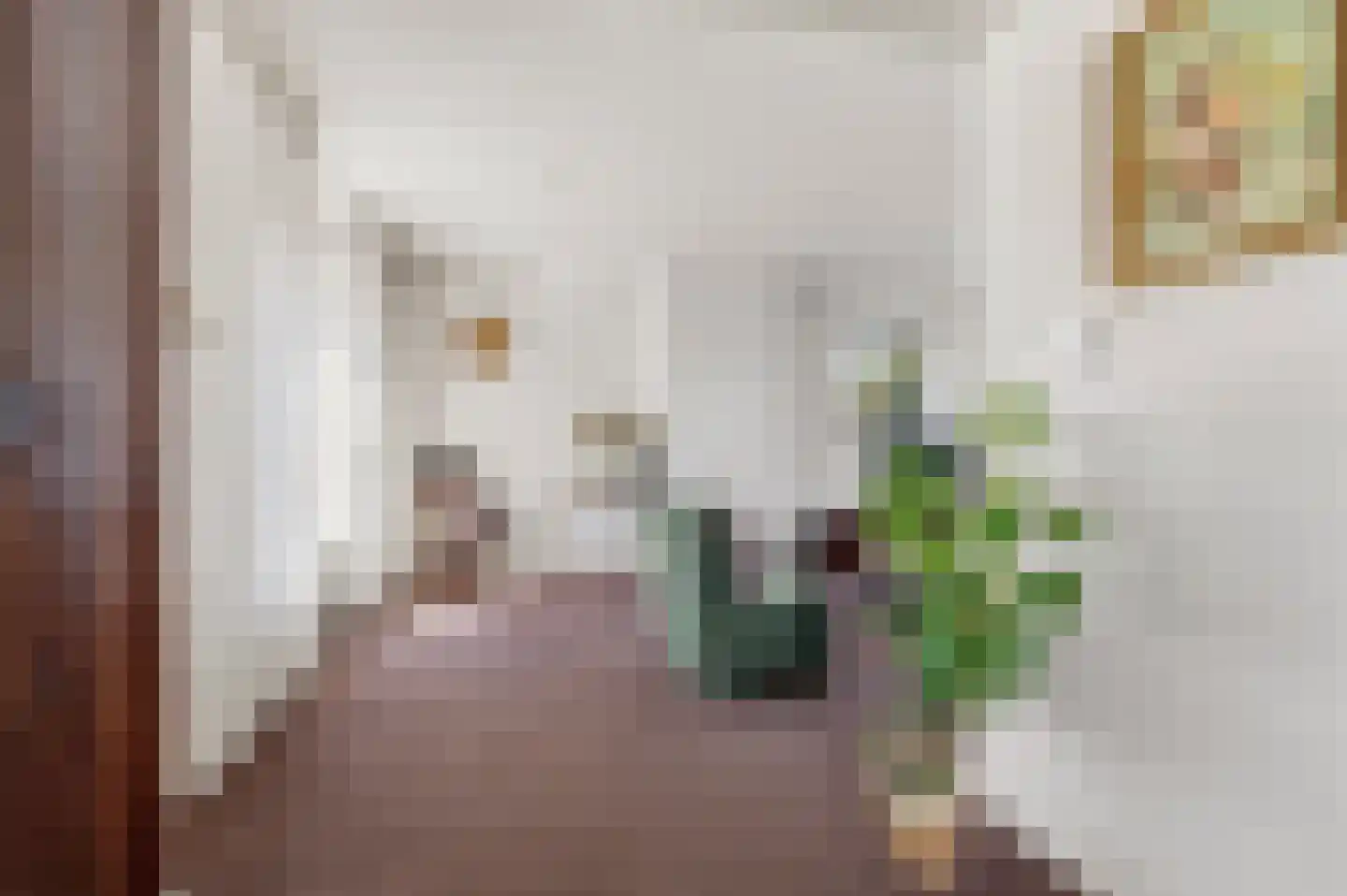 Kloosterweg 28 Horssen thumbnail 6