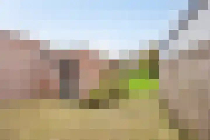 Kloosterweg 3 Someren thumbnail 19