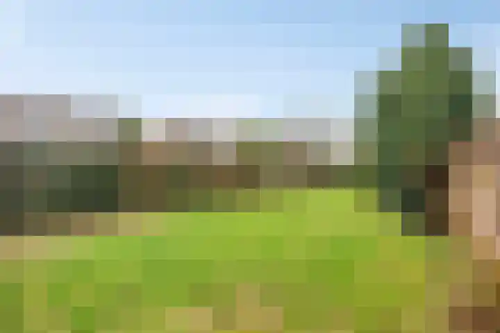 Kloosterweg 3 Someren thumbnail 20