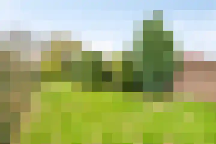 Kloosterweg 3 Someren thumbnail 21