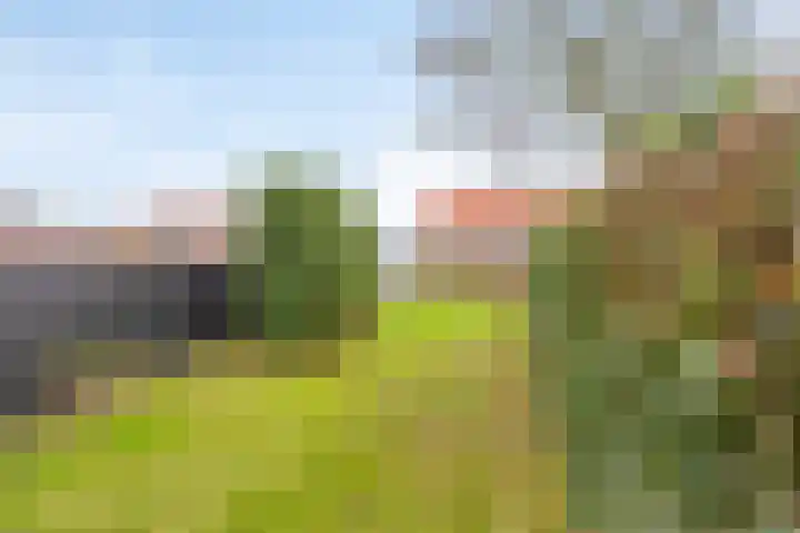 Kloosterweg 3 Someren thumbnail 22
