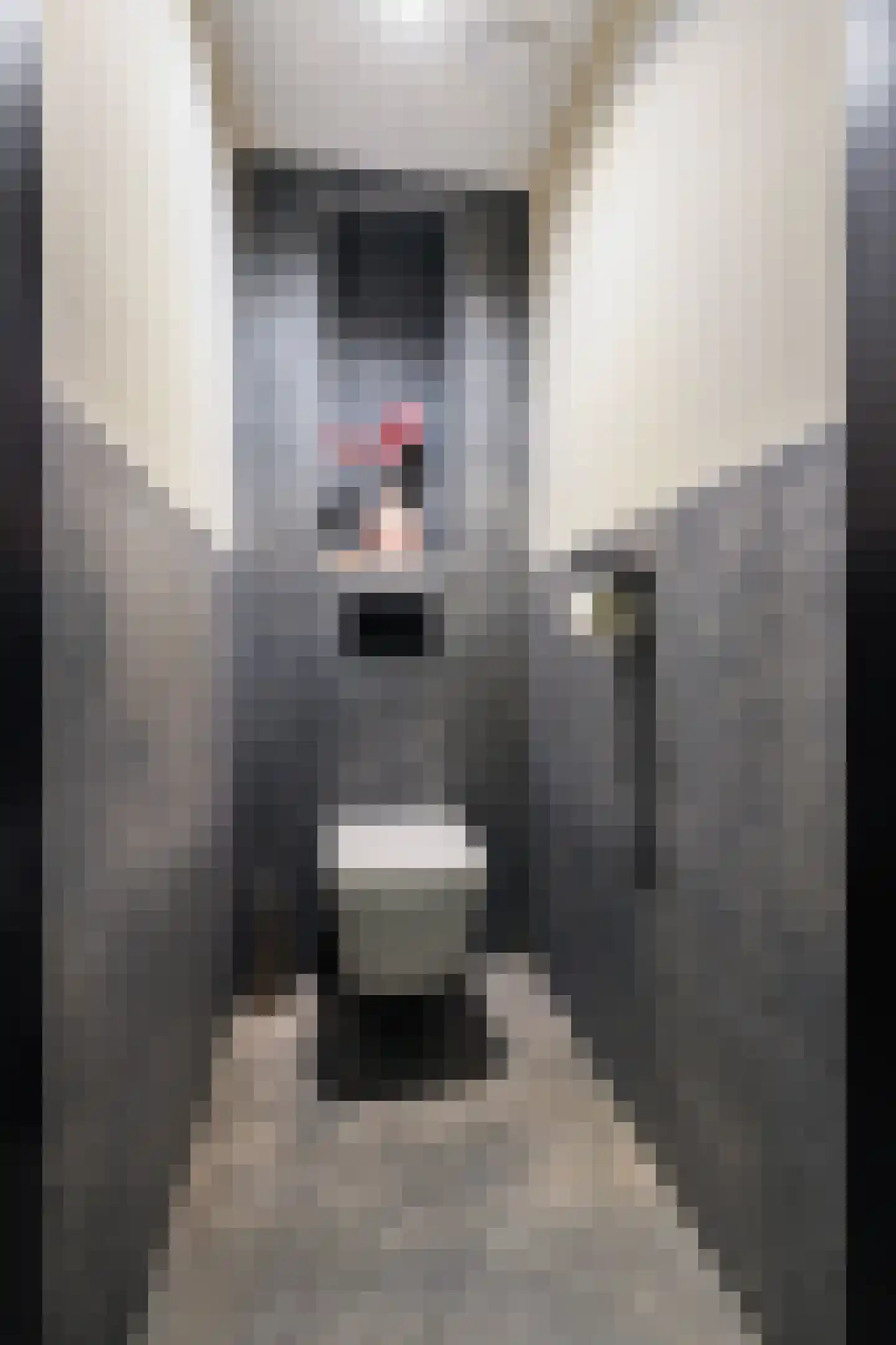 Kloosterweg 33 Waalwijk thumbnail 28