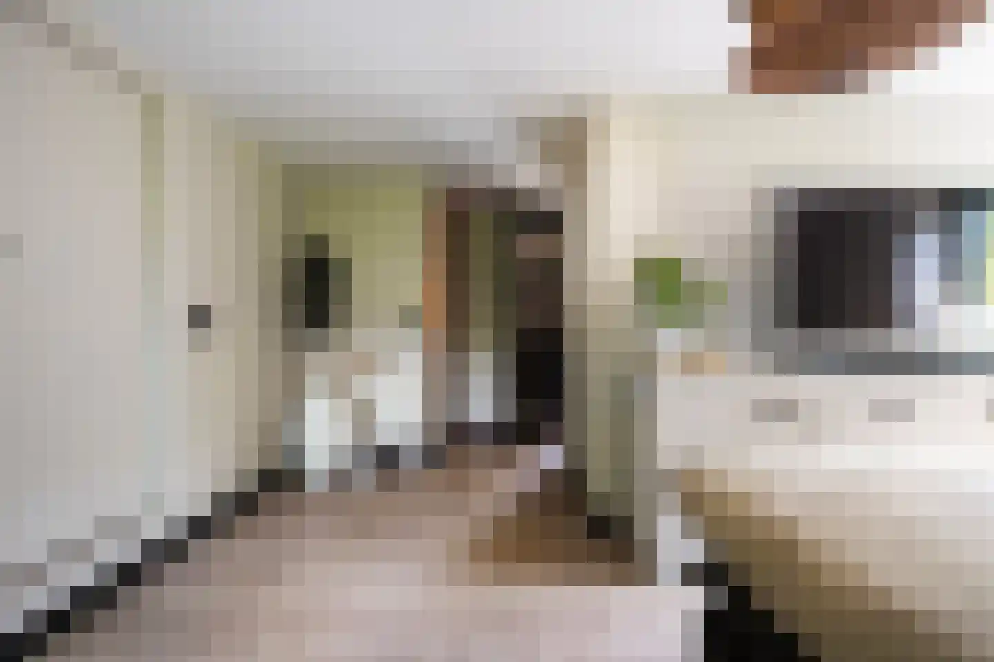 Kloosterweg 33 Waalwijk thumbnail 32