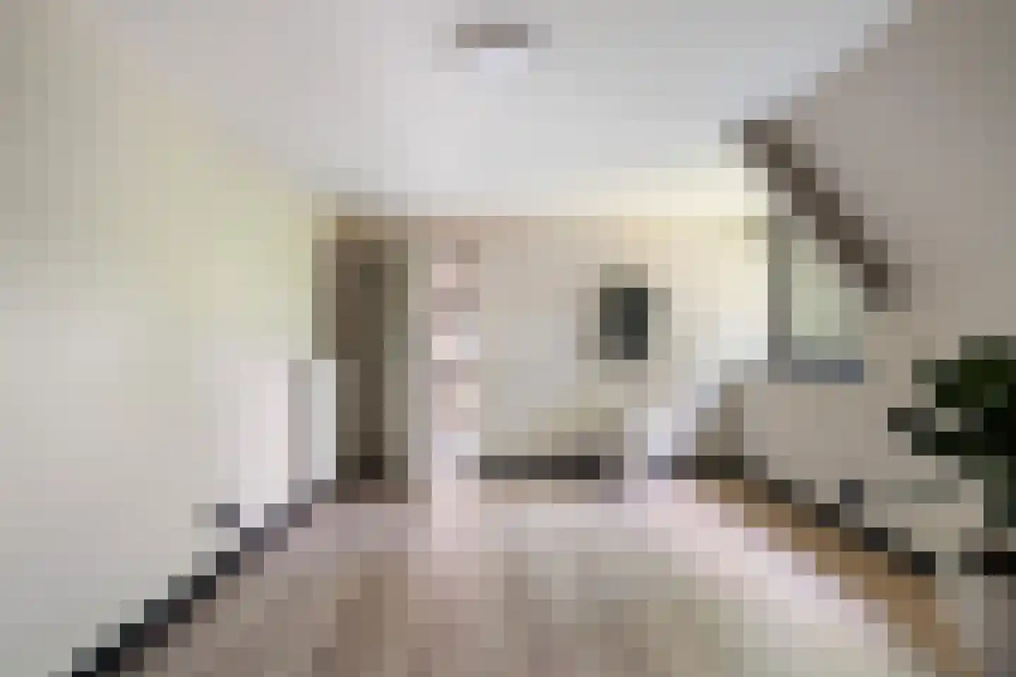 Kloosterweg 33 Waalwijk thumbnail 41