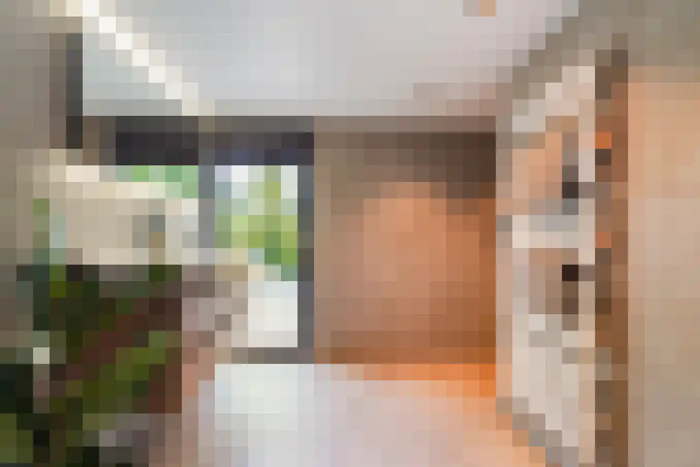 Kloosterweg 33 Waalwijk thumbnail 47