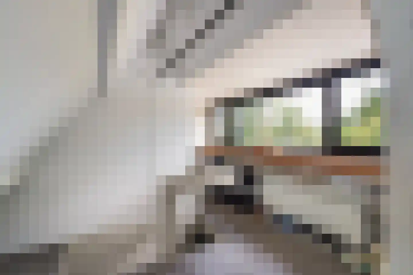 Kloosterweg 33 Waalwijk thumbnail 52