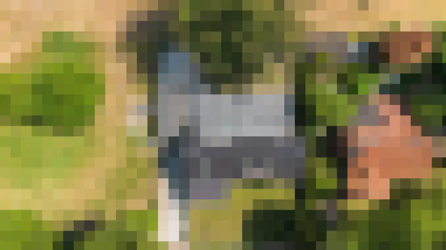 Kloosterweg 33 Waalwijk thumbnail 57