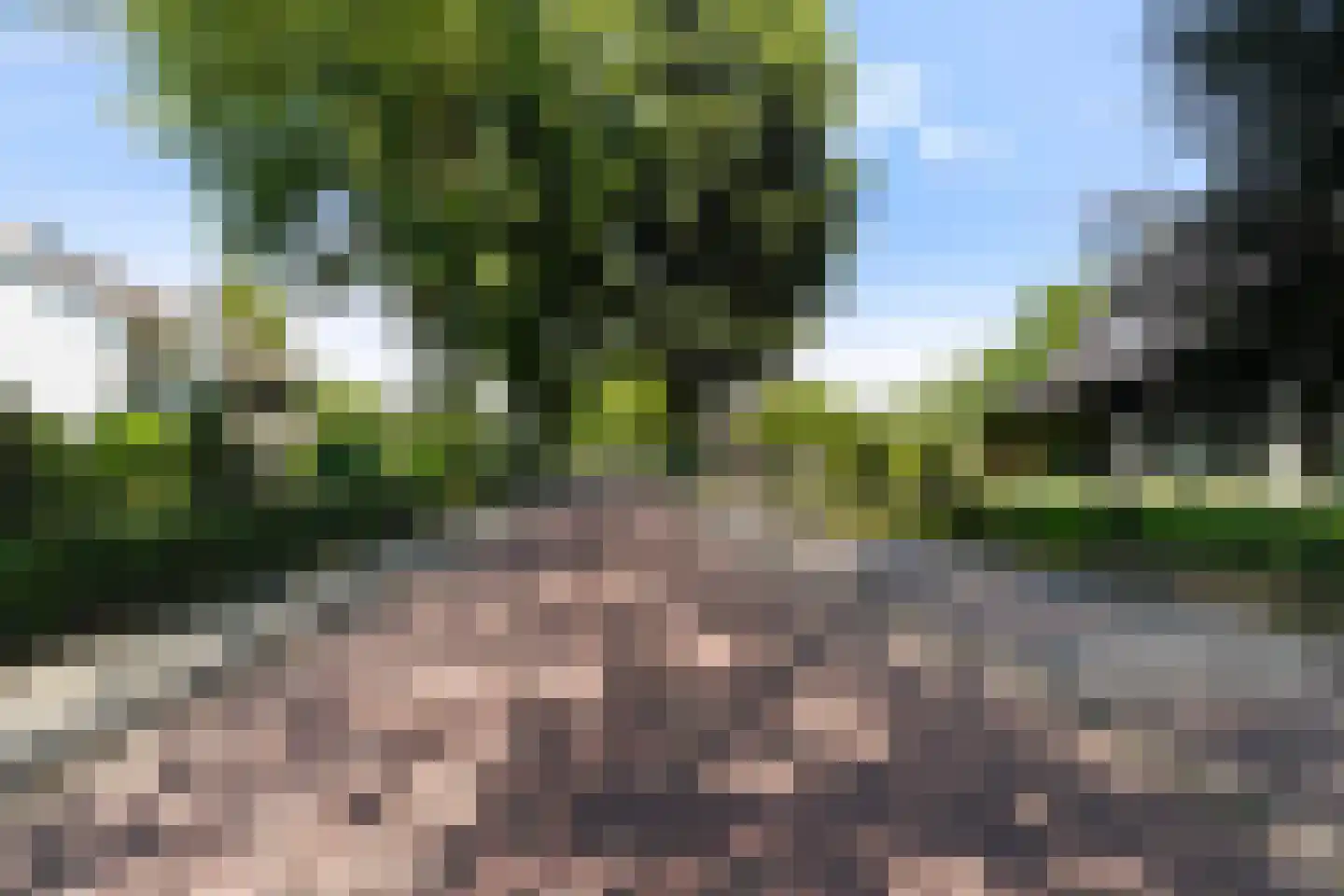 Kloosterweg 33 Waalwijk thumbnail 58