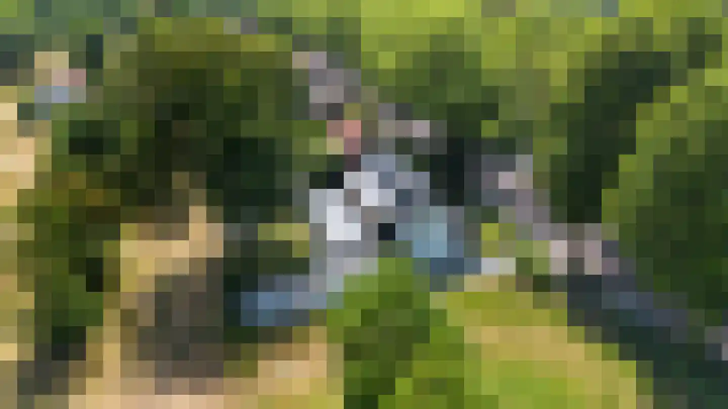 Kloosterweg 33 Waalwijk thumbnail 6