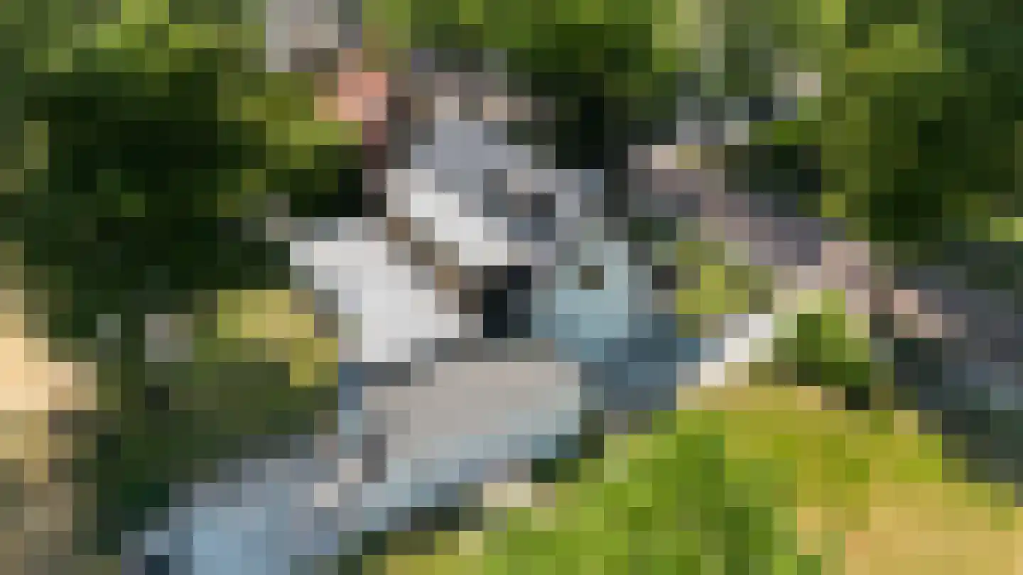 Kloosterweg 33 Waalwijk thumbnail 62
