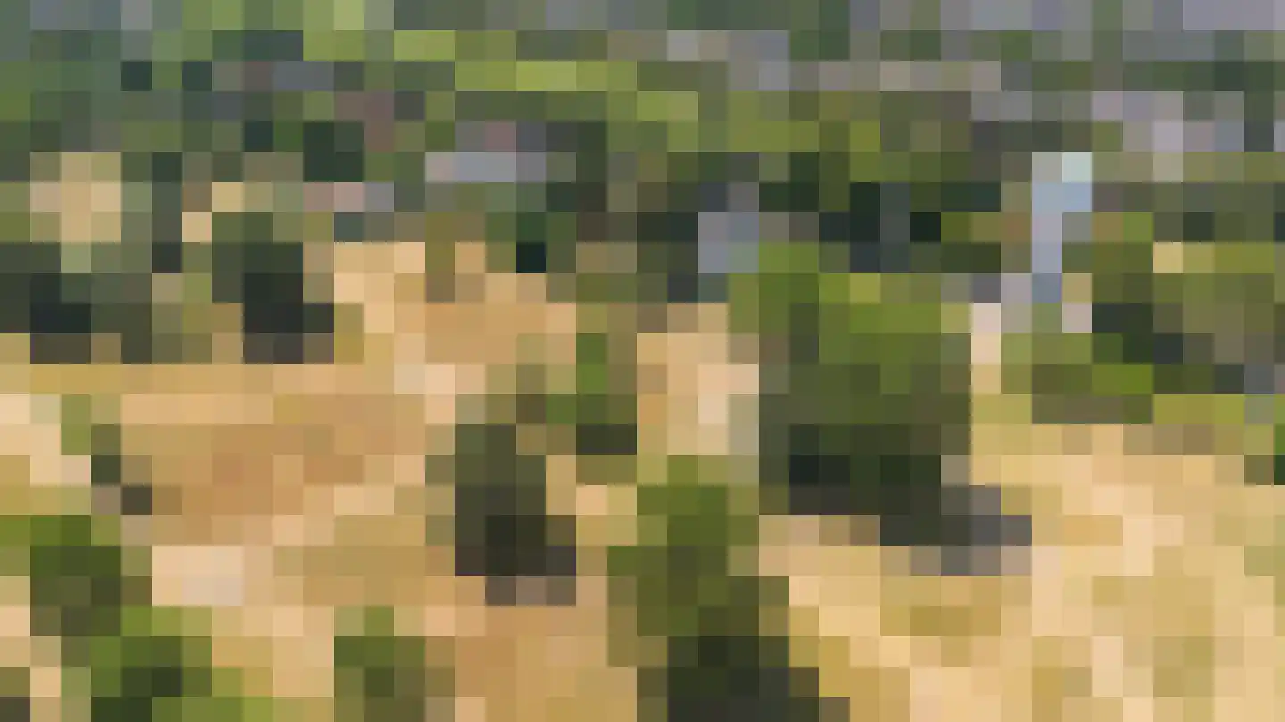 Kloosterweg 33 Waalwijk thumbnail 63