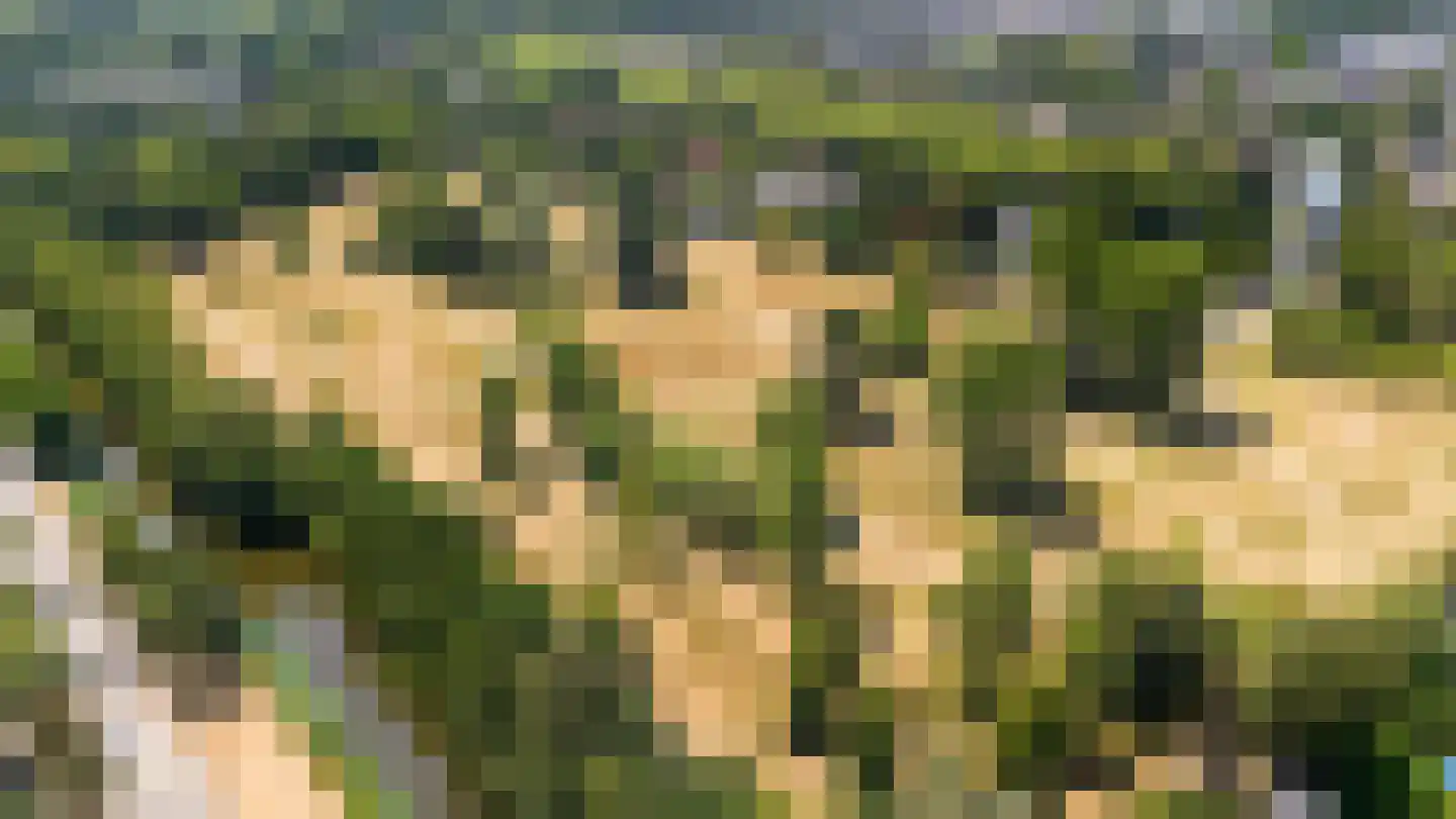 Kloosterweg 33 Waalwijk thumbnail 64
