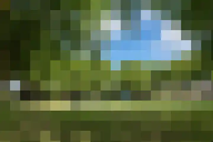 Kloosterweg 35 Brielle thumbnail 57
