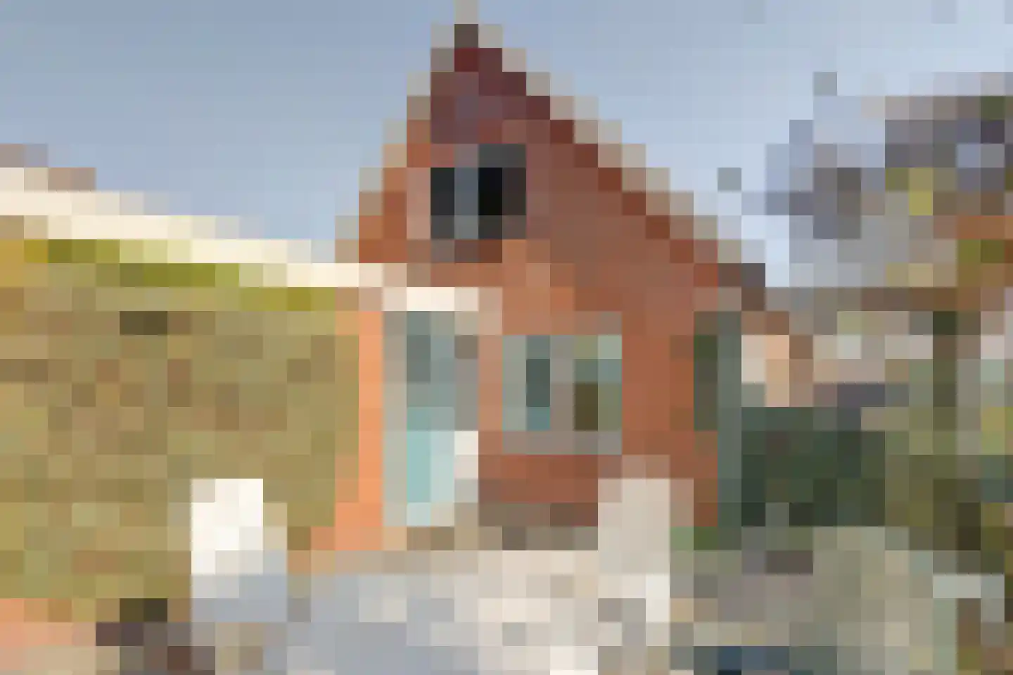 Kloosterweg 35 Emmer-Compascuum thumbnail 23