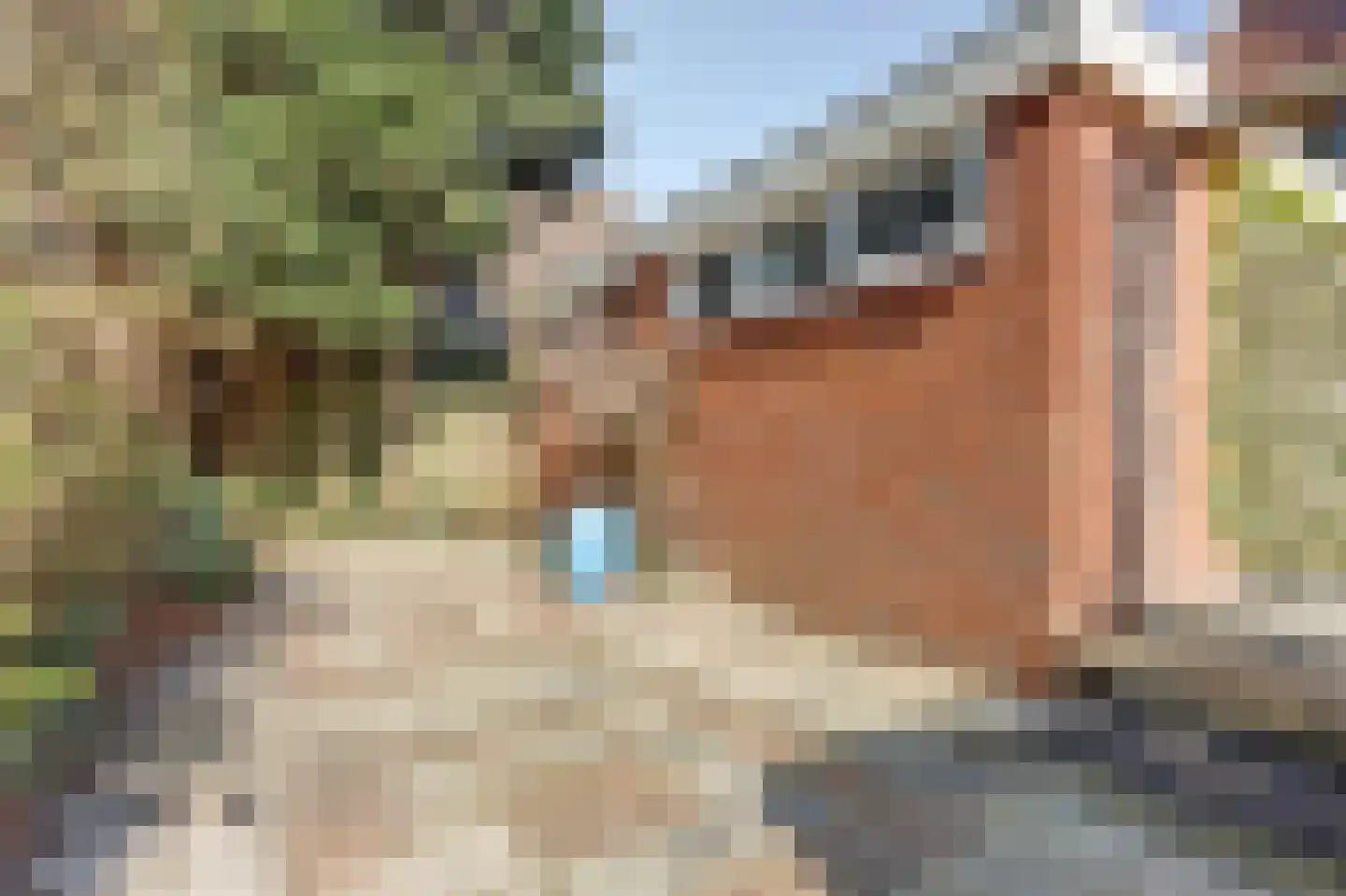 Kloosterweg 35 Emmer-Compascuum thumbnail 28