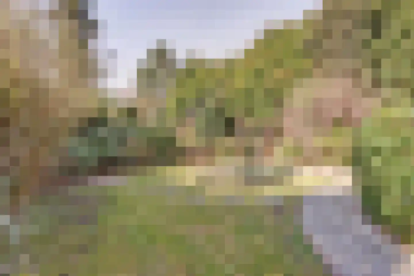 Kloosterweg 35 Emmer-Compascuum thumbnail 29