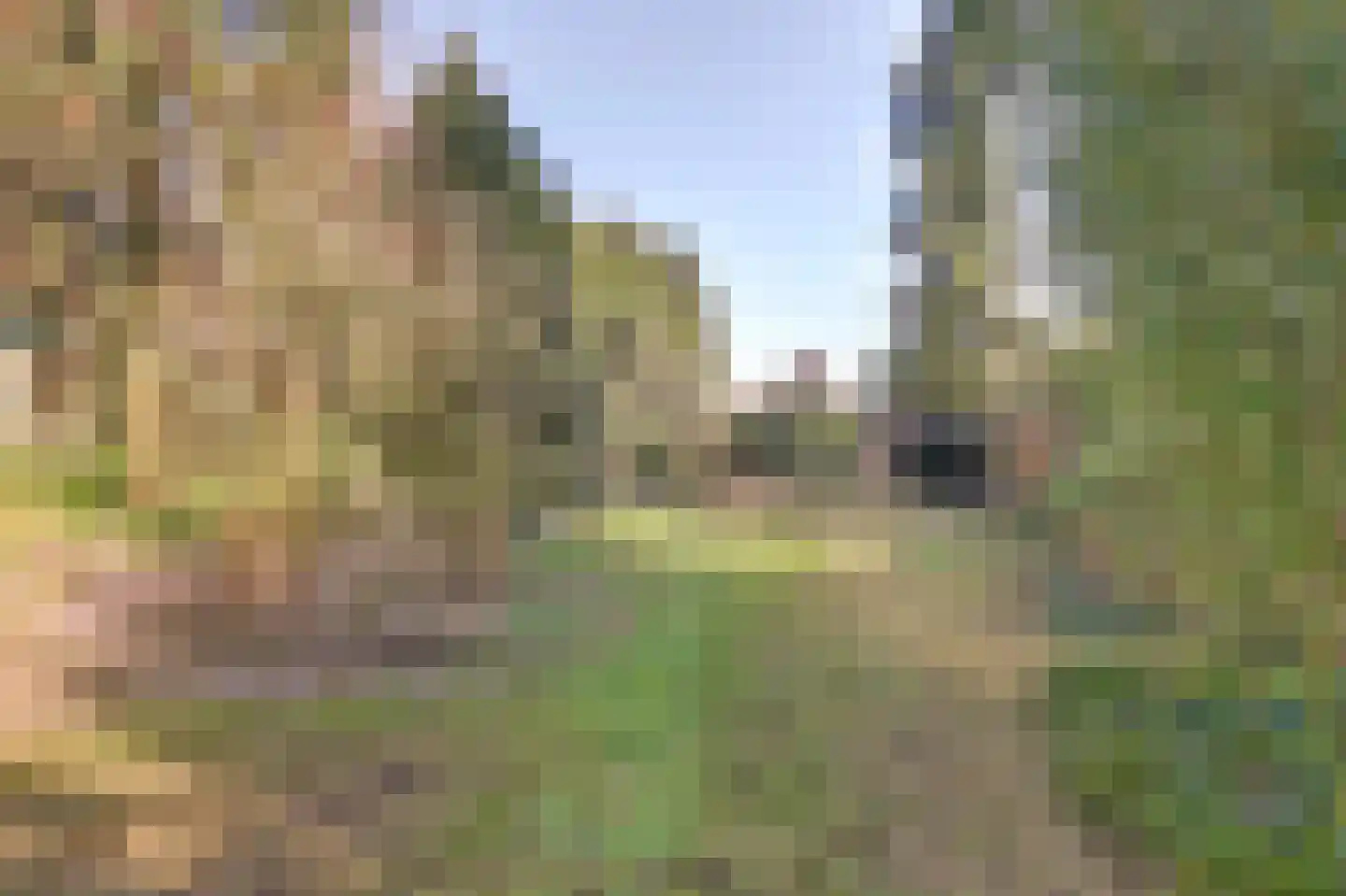 Kloosterweg 35 Emmer-Compascuum thumbnail 30