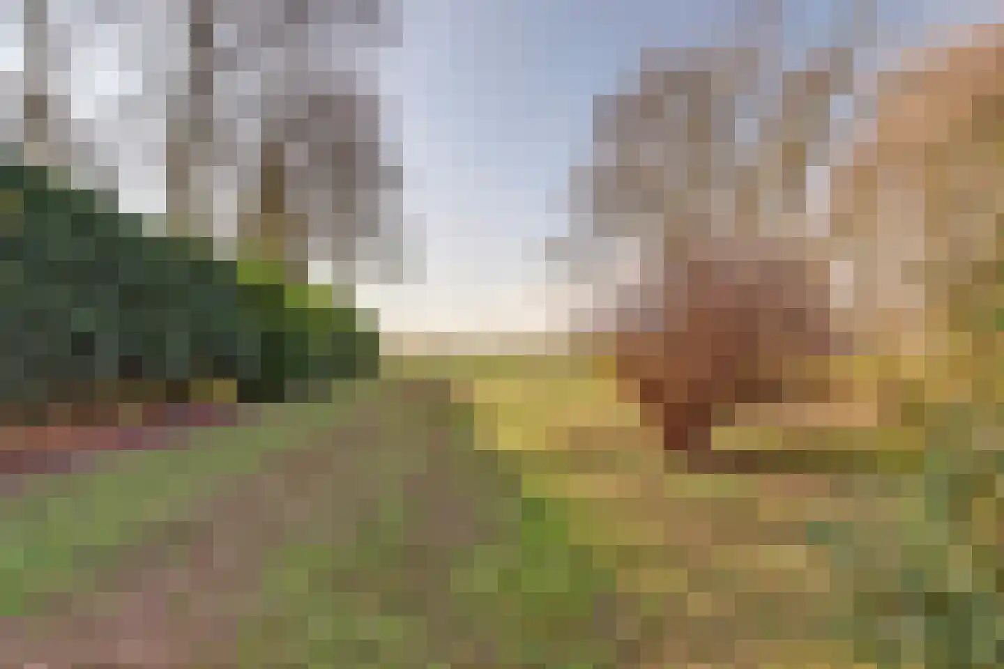 Kloosterweg 35 Emmer-Compascuum thumbnail 32