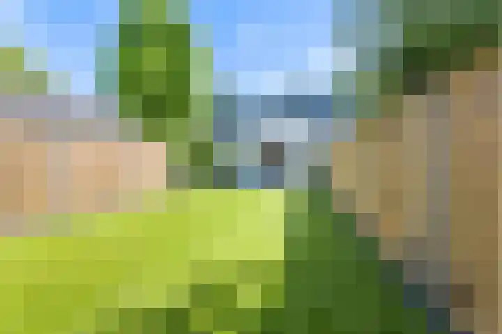 Kloosterweg 35 Laren thumbnail 38