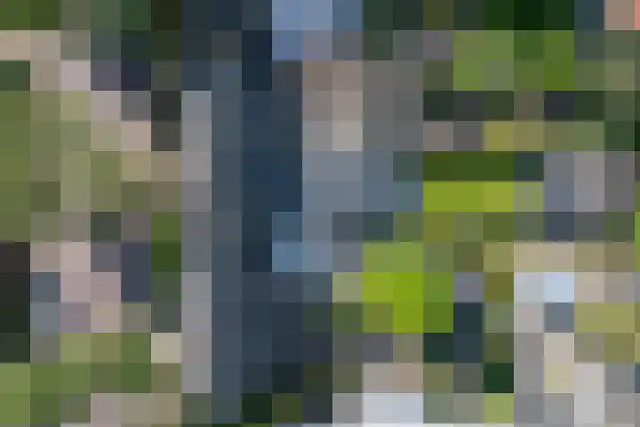 Kloosterweg 35 Laren thumbnail 41