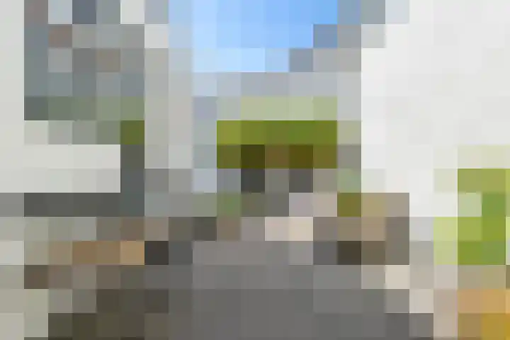 Kloosterweg 4 Laren thumbnail 14