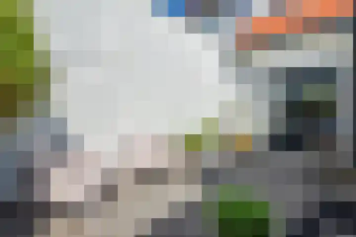 Kloosterweg 4 Laren thumbnail 15