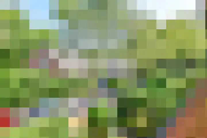 Kloosterweg 4 Laren thumbnail 18