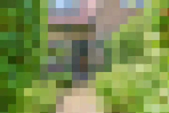 Kloosterweg 4 Laren thumbnail 5