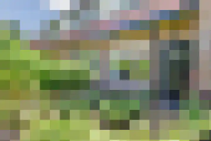 Kloosterweg 4 Laren thumbnail 6