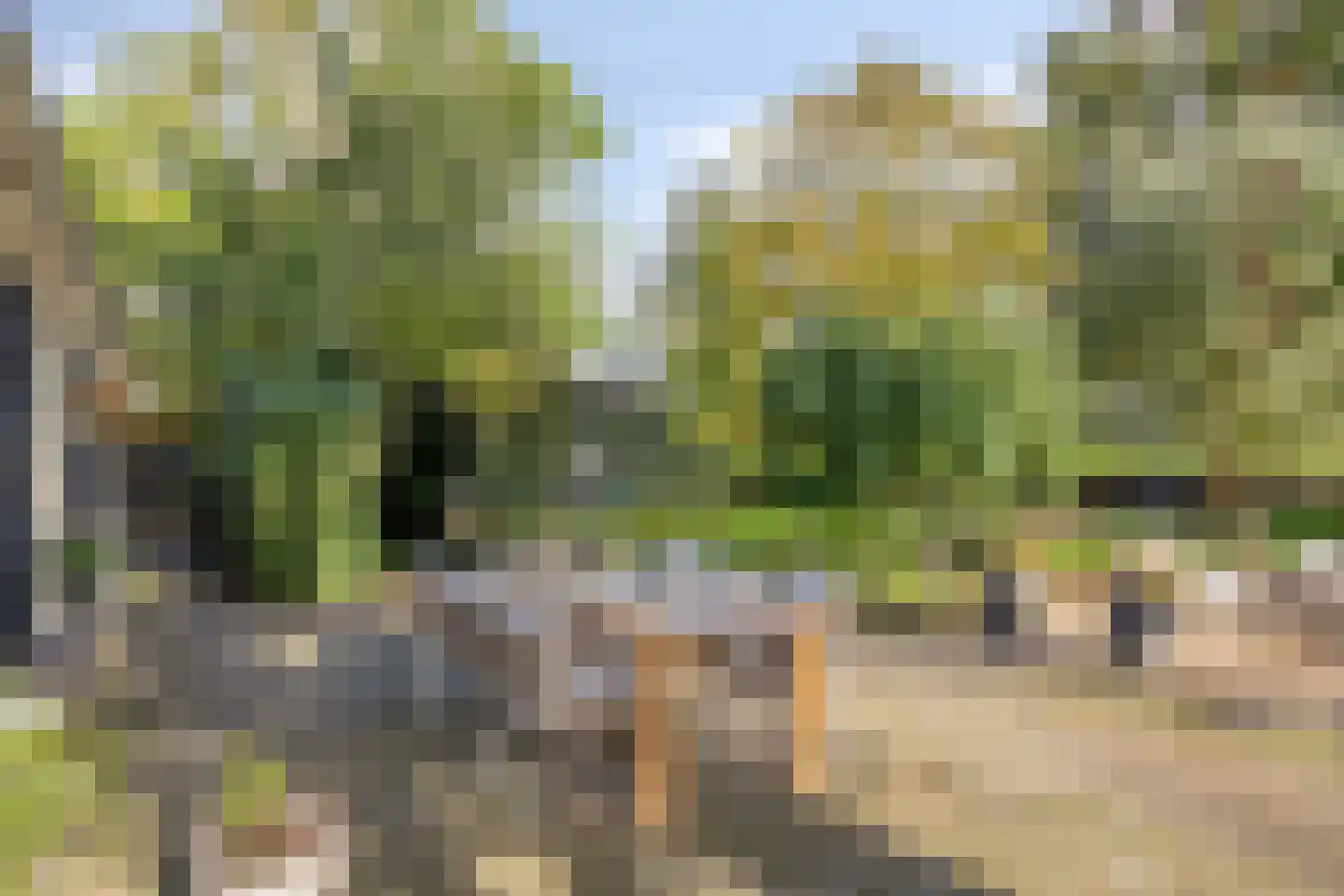 Kloosterweg 5 Noordgouwe thumbnail 31