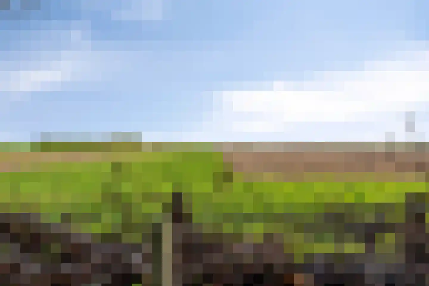 Kloosterweg 5 Noordgouwe thumbnail 36