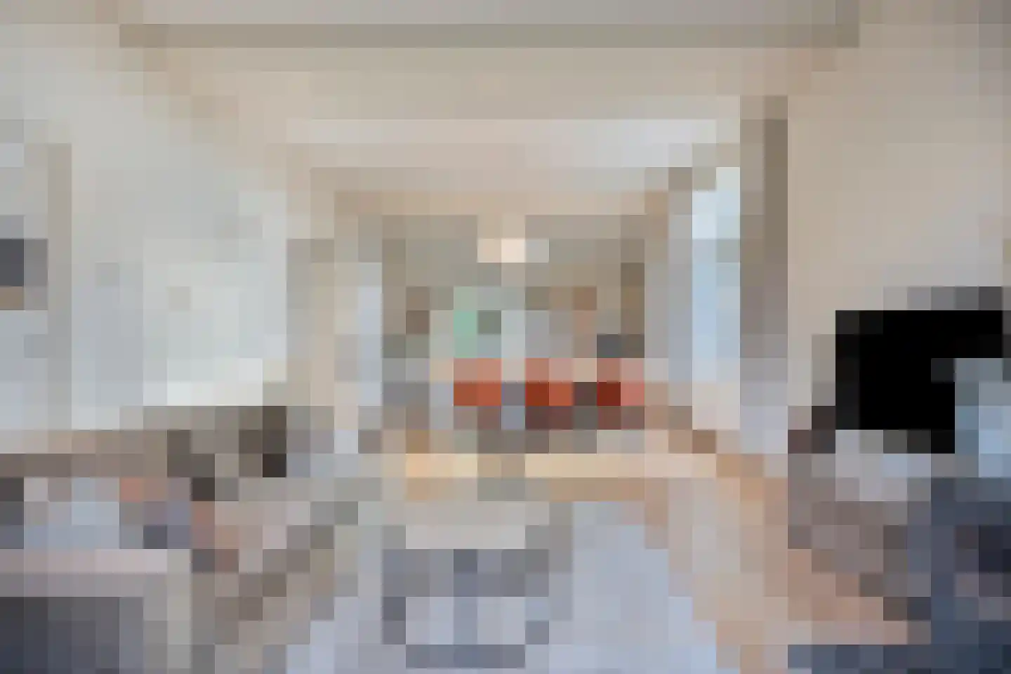 Kloosterweg 5 Noordgouwe thumbnail 7