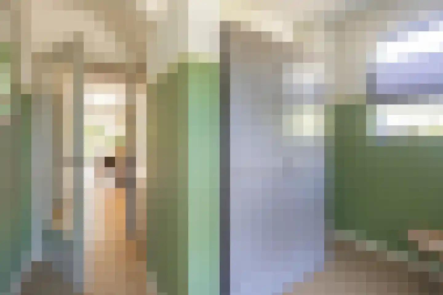 Kloosterweg 50 Bunde thumbnail 10