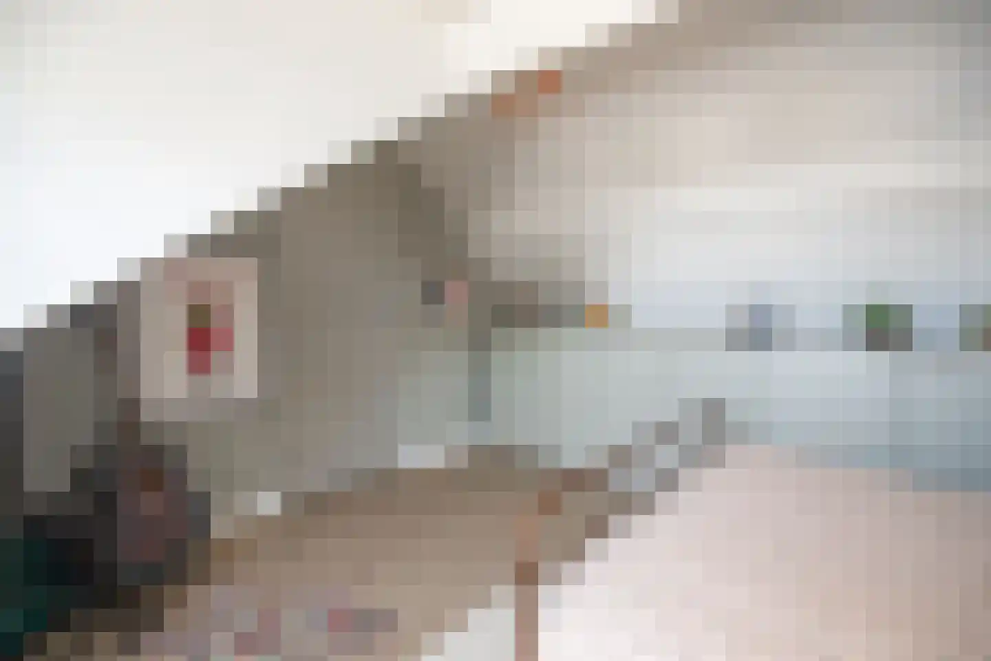 Kloosterweg 50 Bunde thumbnail 33